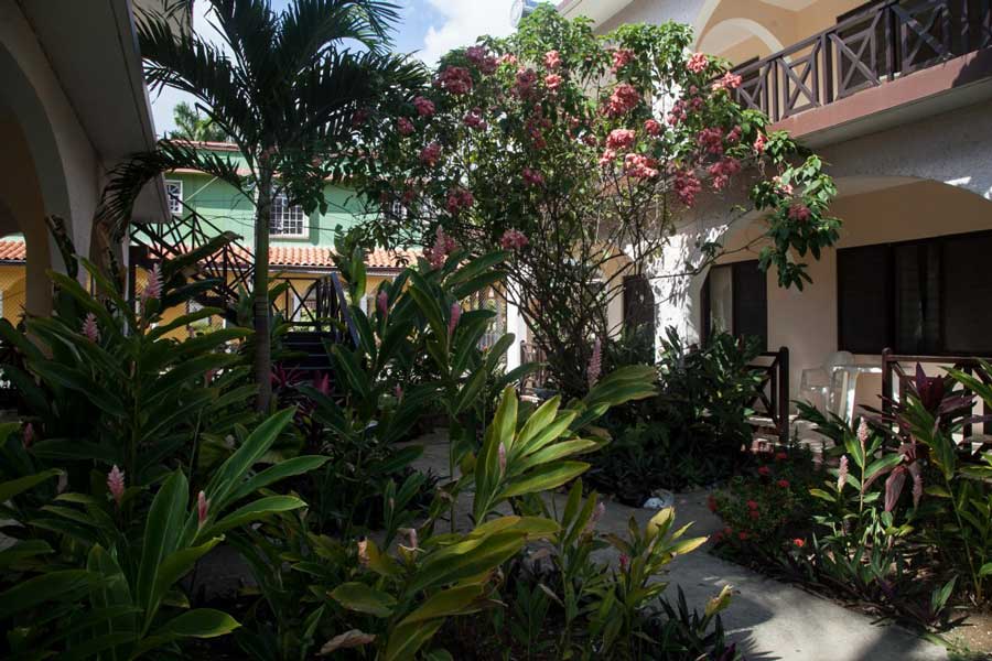 Pure Garden Resort Transportation from Montego Bay Airport (image for) Pure Garden Resort Transportation from Montego Bay Airport